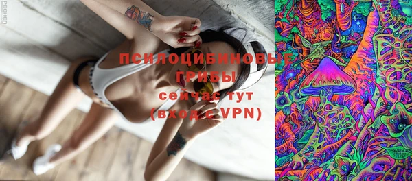 эйфоретик Касимов