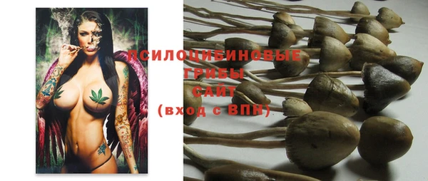 эйфоретик Касимов