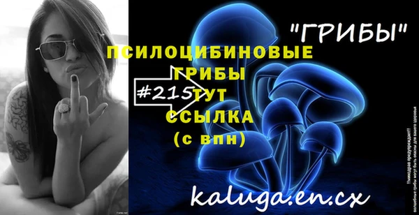эйфоретик Касимов